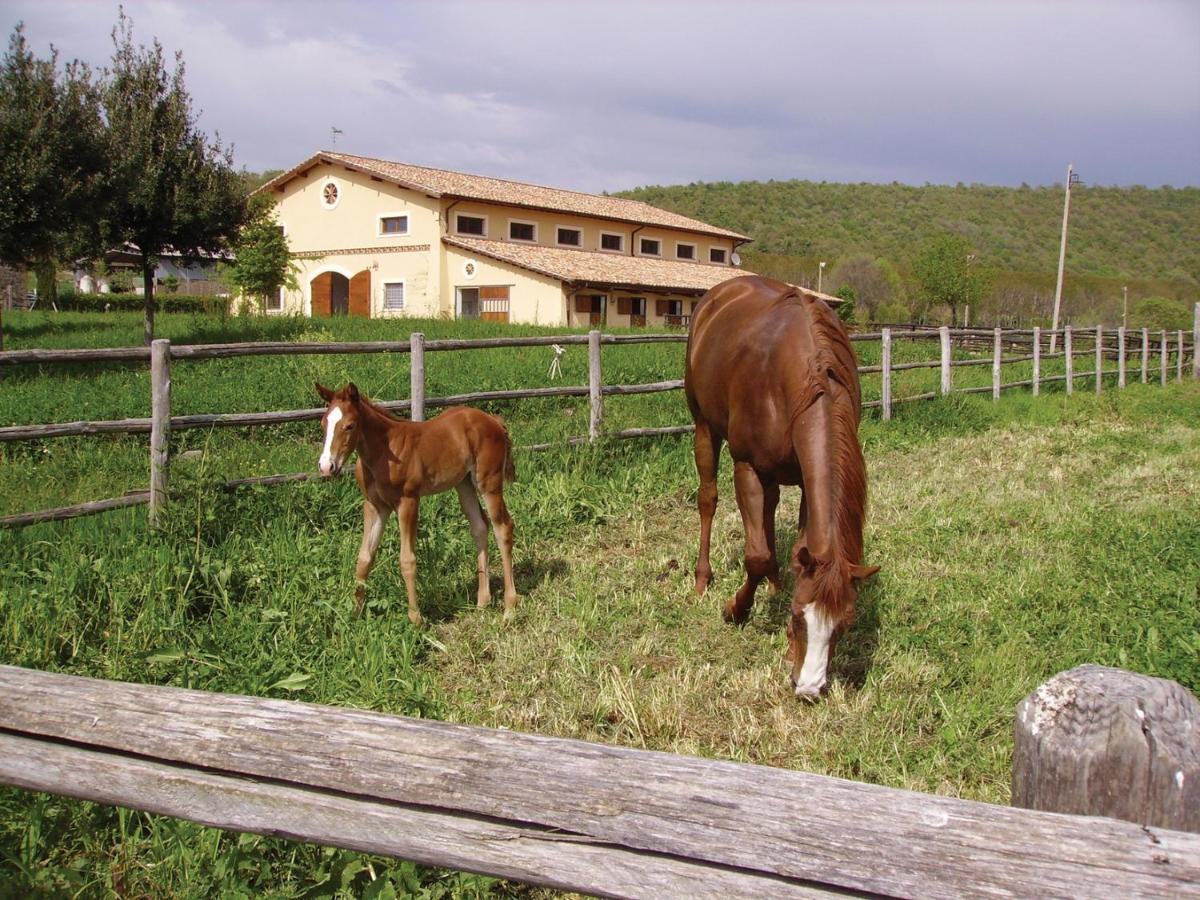 Agriturismo Potrero Grande Sul Lago Di Martignano Con Spiaggia Campagnano Di Roma Exterior foto