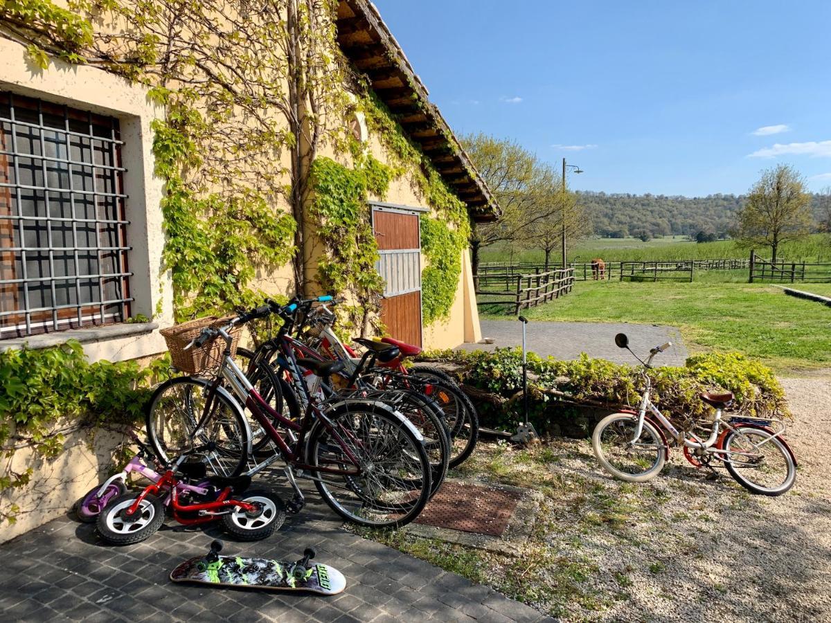 Agriturismo Potrero Grande Sul Lago Di Martignano Con Spiaggia Campagnano Di Roma Exterior foto