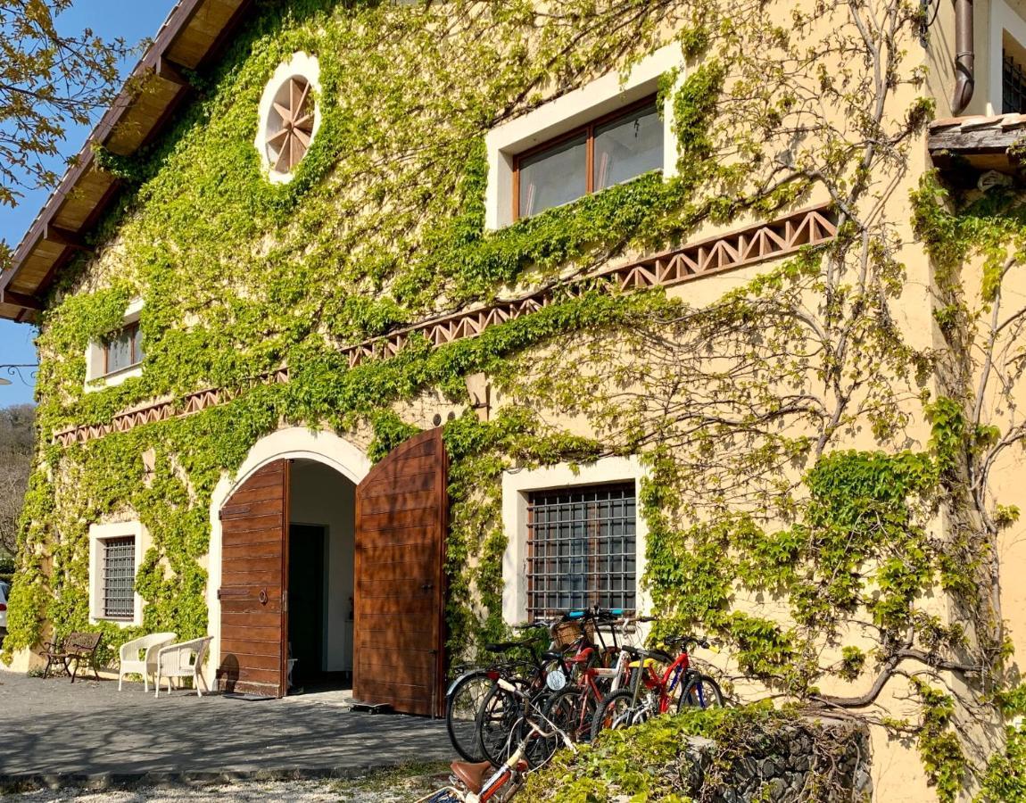 Agriturismo Potrero Grande Sul Lago Di Martignano Con Spiaggia Campagnano Di Roma Exterior foto