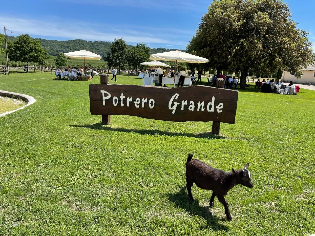 Agriturismo Potrero Grande Sul Lago Di Martignano Con Spiaggia Campagnano Di Roma Exterior foto