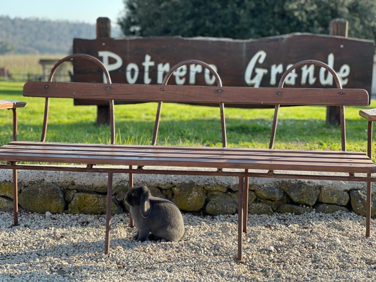 Agriturismo Potrero Grande Sul Lago Di Martignano Con Spiaggia Campagnano Di Roma Exterior foto