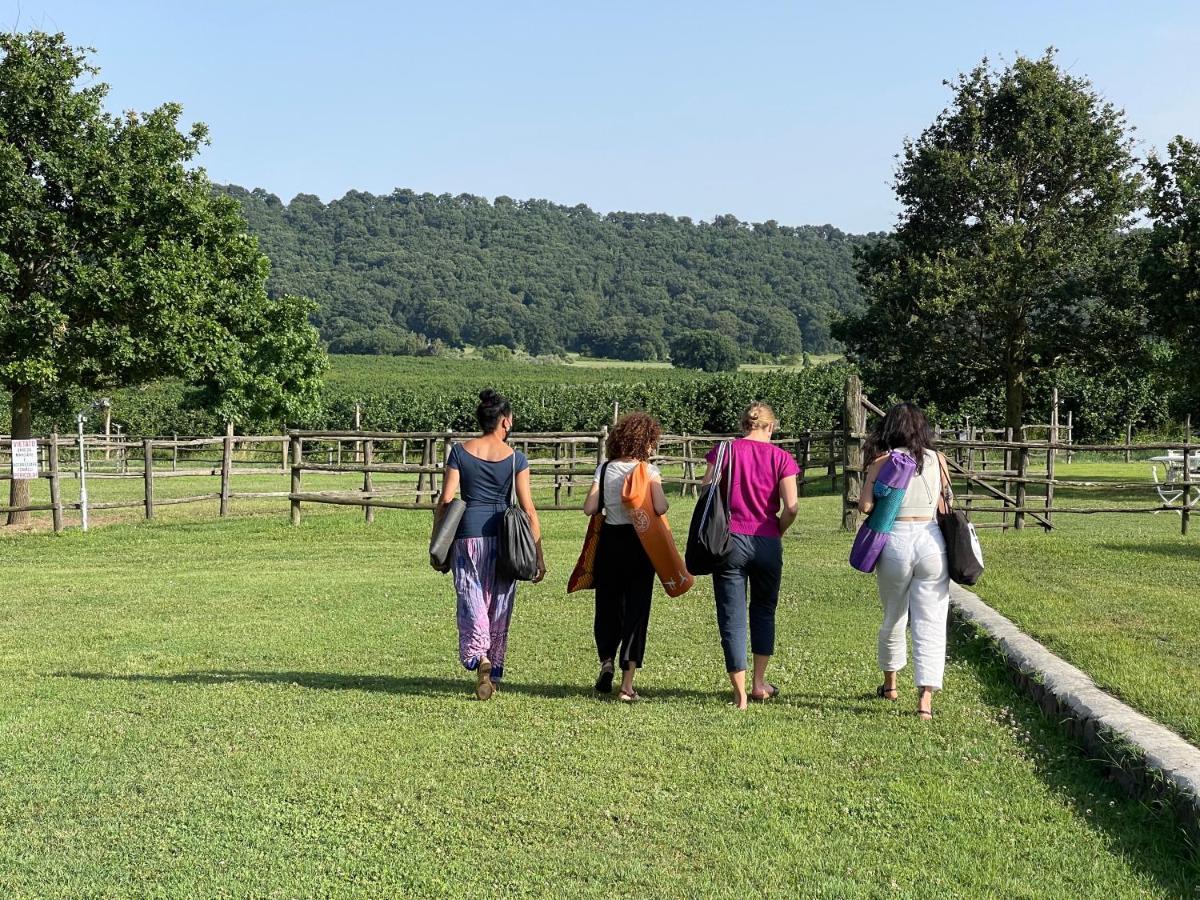 Agriturismo Potrero Grande Sul Lago Di Martignano Con Spiaggia Campagnano Di Roma Exterior foto