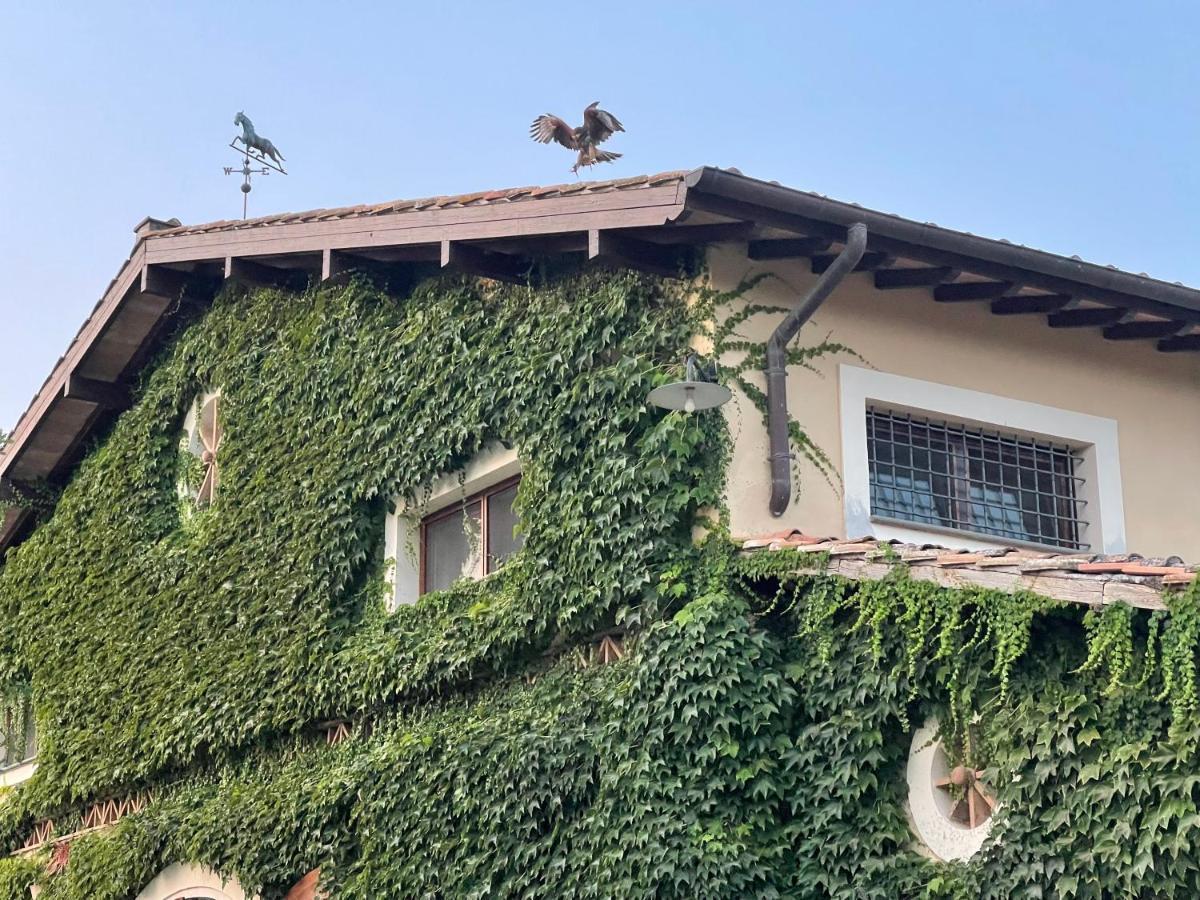 Agriturismo Potrero Grande Sul Lago Di Martignano Con Spiaggia Campagnano Di Roma Exterior foto