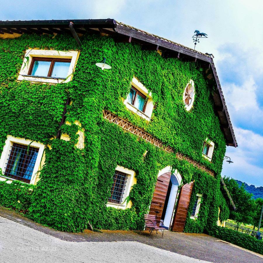 Agriturismo Potrero Grande Sul Lago Di Martignano Con Spiaggia Campagnano Di Roma Exterior foto